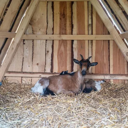 Hedrich Semesterbostad