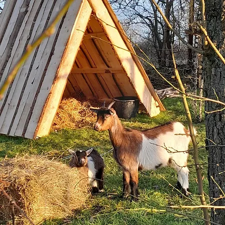 Hedrich Semesterbostad