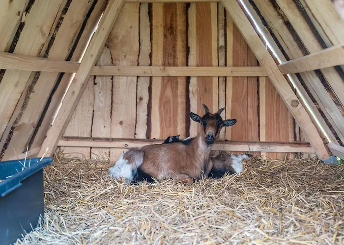 Hedrich Casa de Férias