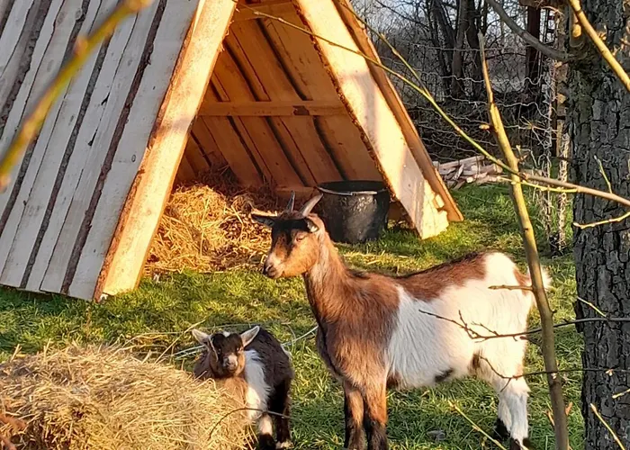 Hedrich Casa de Férias